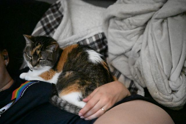 Sleepy
