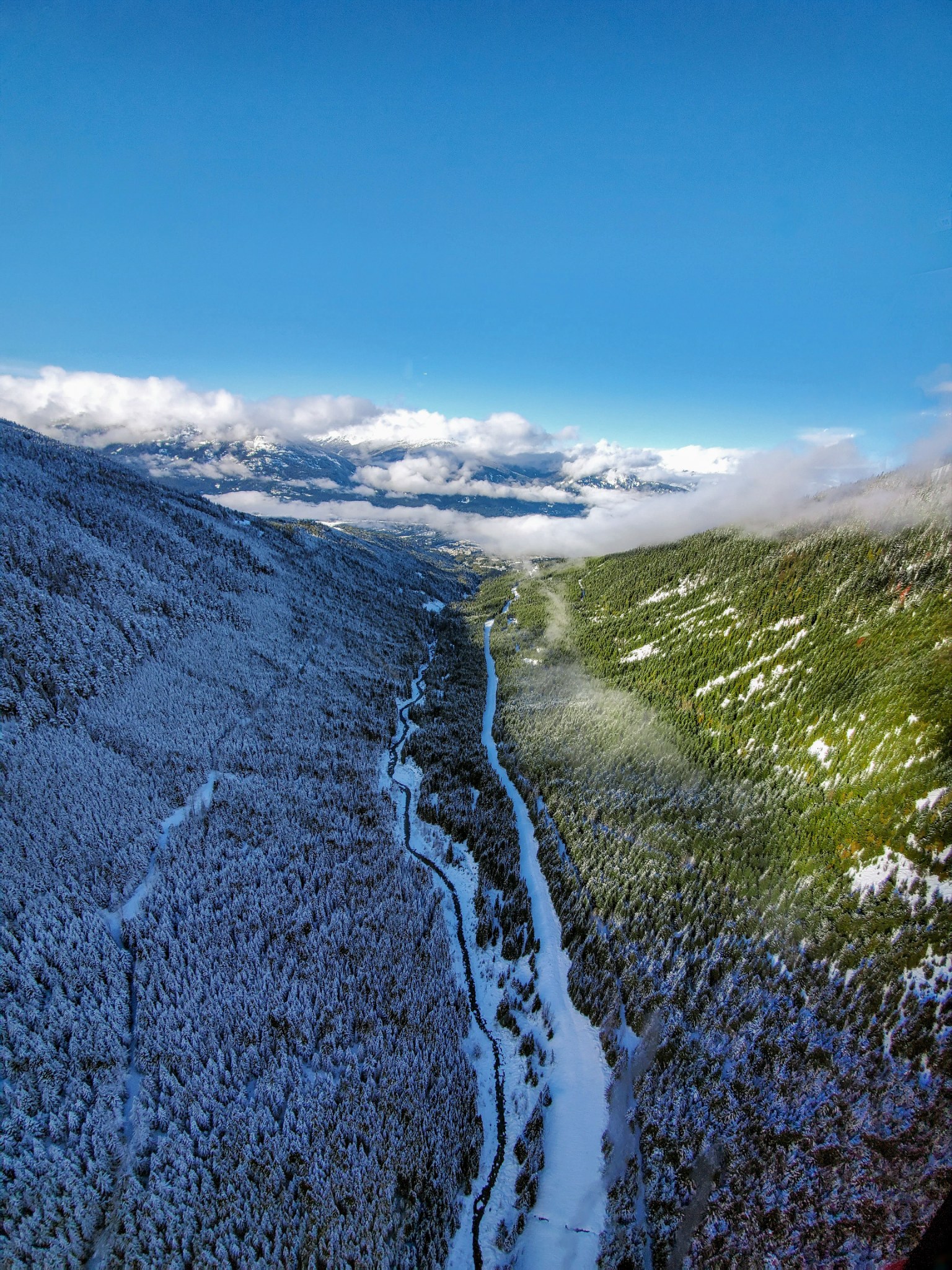 Alpine Divide