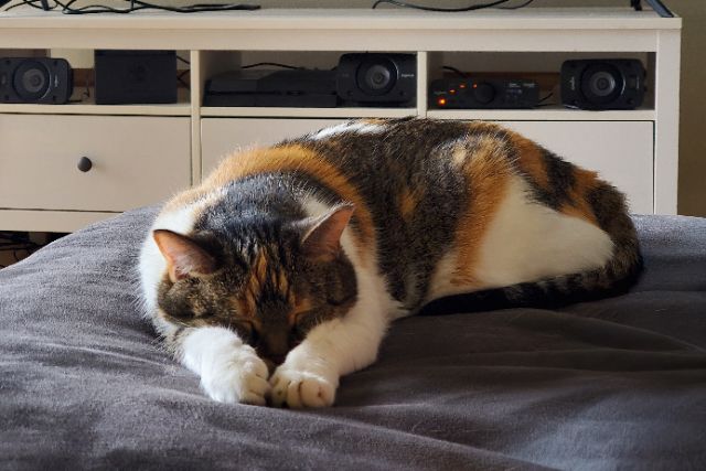 Deep Slumber