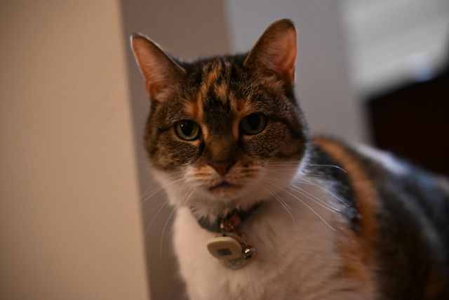 Eye Contact